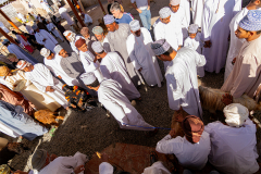 Oman_Nizwa_Ziegen_002