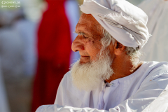 Oman_Nizwa_Ziegen_005