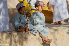 Oman_Nizwa_Ziegen_006