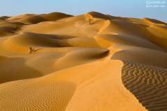 Oman_RubAlKhali_001