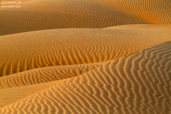 Oman_RubAlKhali_004