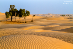 Oman_RubAlKhali_007