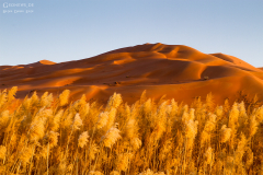 Oman_RubAlKhali_020