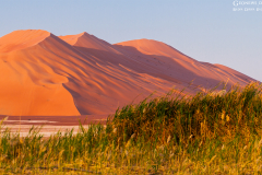 Oman_RubAlKhali_021