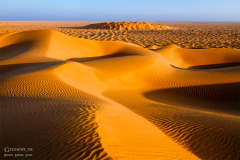 Oman_RubAlKhali_022