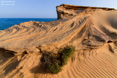 Oman_Ruways_004