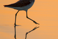 oman_109