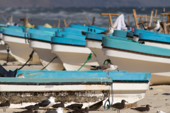 oman_111
