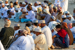 Oman_Barka_Stiere_008