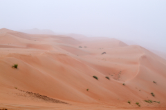 oman_045