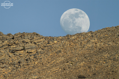 Oman_Musandam_005