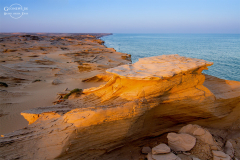 Oman_Ruways_008