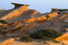 Oman_Ruways_009
