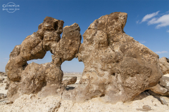 Oman_Ruways_017