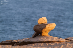 Oman_Ruways_018