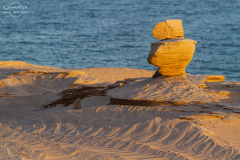 Oman_Ruways_019
