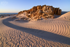 Oman_Ruways_023