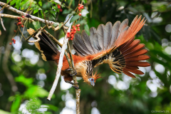 peru_009