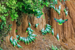 peru_026