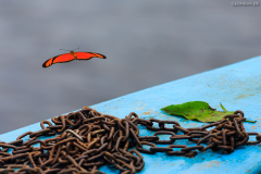 peru_091