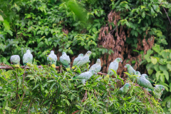 peru_097