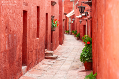 Peru_Arequipa_010
