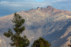 Peru-Colca_001