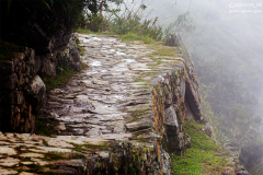 Peru-Machu-Picchu_003