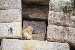 Peru-Machu-Picchu_016