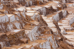 Peru_Mara_002