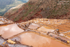 Peru_Mara_003