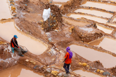 Peru_Mara_004