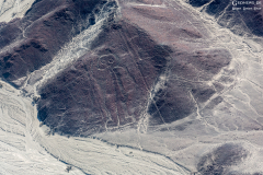 Peru-Nasca_002