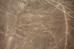 Peru-Nasca_006