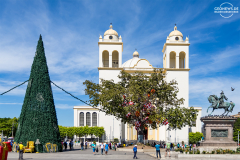SAL_Salvador_002