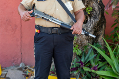 SAL_Salvador_013