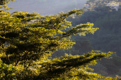 SAL_Suchitoto_006