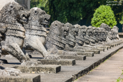 Sri-Lanka-Colombo_023
