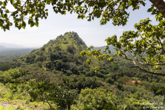 Sri-Lanka-Dambulla_012