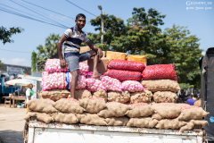 Sri-Lanka-Dambulla_014