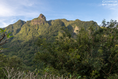 Sri-Lanka-Hochland_003