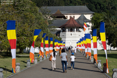 Sri-Lanka-Kandy-001