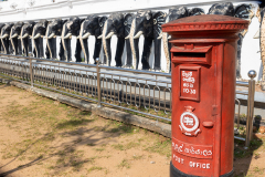 Sri-Lanka-Kataragama_003