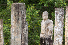 Sri-Lanka-Polonnaruwa_006