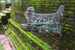 Sri-Lanka-Polonnaruwa_015