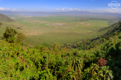 TAN_Ngorongoro_001