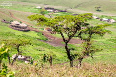 TAN_Ngorongoro_002