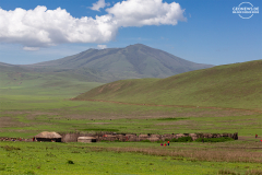 TAN_Ngorongoro_003