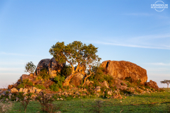 TAN_Serengeti_010