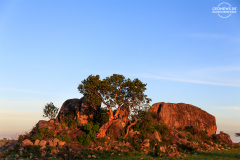 TAN_Serengeti_012